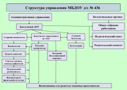 Структура управления ДОУ строится на сочетании принципов единоначалия и коллегиальности. Единоличным исполнительным органом является заведующий. Коллегиальные органы управления: общее собрание работников, педагогический совет, родительский комитет.

Административное управление: 

	К администрации ДОУ относится заведующий, заместитель заведующего по АХР, главный бухгалтер.
Заведующий. Непосредственное управление учреждением, действует от имени учреждения, представляет его во всех учреждениях и организациях. В своей работе опирается на Устав дошкольного образовательного учреждения, Закон Российской Федерации "Об образовании". Заведующий ДОУ распоряжается имуществом учреждения, принимает на работу и увольняет сотрудников, осуществляет расстановку кадров, поощряет работников учреждения, налагает взыскание, несёт ответственность за деятельность учреждения перед Учредителем. Занимается комплектованием групп в соответствии с их возрастом, состоянием здоровья и индивидуальными особенностями. Отвечает за рациональное использование бюджетных ассигнований и средств. Несет ответственность за реализацию программы развития Учреждения.
Заместитель заведующего по АХР. Отвечает за сохранность здания дошкольного учреждения и имущества, организует материально-техническое снабжение педагогического процесса, обеспечивает чистоту и порядок в помещениях детского сада и на участке, отвечает за противопожарную безопасность и организацию труда обслуживающего персонала. Отвечает за благоустройство и озеленение территории. 
Главный бухгалтер осуществляет бухгалтерский учет и отчетность. Формирует учетную политику с разработкой мероприятий по ее реализации,  бухгалтерского учёта и отчётности; Производит расчет по заработной плате перечислений налогов и сборов в государственный бюджет, платежей в банковские учреждения; Осуществляет контроль за своевременным и правильным оформлением бухгалтерской документации. Анализирует выполнения плана ДОУ по всем показателям статистической и финансовой отчётности и разработка финансово-экономической стратегии развития ДОУ.
Педагогический процесс:
Старший воспитатель, воспитатели, музыкальные руководители, учителя-логопеды, педагоги-психологи и другие специалисты — работают с детьми, развивая их творческие, речевые и социальные навыки. Все педагоги должны иметь высшее педагогическое или среднее специальное образование.
Старший воспитатель. Осуществляет руководство учебно-воспитательной работой учреждения, определяет место каждого педагога в воспитательно-образовательной работе с детьми, мобилизует воспитателей на решение задач, поставленных концепцией дошкольного воспитания перед дошкольным учреждением, привлекает к их решению родителей воспитанников. Занимается наполняемостью групп учебными пособиями, игрушками. Занимается разработкой методик и программ для образовательного процесса, обучением и повышением квалификации педагогических кадров. Планирование воспитательно-образовательной работы — осуществляется в трёх формах: в годовом плане работы ДОУ, в перспективном планировании на год по каждой возрастной группе, в календарном плане работы воспитателя.
Воспитатель  детского сада — это педагогический работник, который отвечает за воспитание, развитие и обучение детей дошкольного возраста.  Структура педагогической деятельности воспитателя включает следующие элементы:
-Мотивация. Направлена на личностное, интеллектуальное и деятельностное развитие детей.
-Педагогические цели и задачи. Включают организацию воспитательного процесса, направленного на формирование социальных навыков, ценностей и норм поведения у детей.
-Предмет педагогической деятельности. Организация учебной деятельности обучающихся, направленная на освоение ими предметного социокультурного опыта как основы и условия развития.
-Педагогические средства и способы решения поставленных задач. К ним относятся научные знания, «носители» знаний (тексты учебников), вспомогательные средства (технические, компьютерные, графические и другие).
Музыкальный руководитель. Это педагог-музыкант, который отвечает за музыкальное воспитание дошкольников. Он организует занятия, праздники, развлечения, развивающие игры, утренники и театрализованные постановки.
Учитель-логопед, специалист, который диагностирует и корректирует речевые нарушения. Он может заниматься с детьми любого возраста, сотрудничает со всеми участниками образовательного процесса. К ним относятся родители подопечных, воспитатели, сотрудники детского сада, руководство. 
Учитель-дефектолог - это педагог, специализирующийся на работе с детьми, имеющими различные отклонения в развитии специализирующийся на работе с детьми, имеющими различные отклонения в развитии.
Педагог-психолог это специалист, который помогает поддерживать здоровую психологическую среду для всех участников дошкольного образования: детей, их родителей и педагогов
Инструктор по физической культуре занимается формированием у воспитанников интереса и ценностного отношения к занятиям физической культурой; Организует и проводит физкультурно-спортивные праздники, соревнования, и других мероприятий оздоровительного характера. Обеспечивает безопасность воспитанников при проведении физических и спортивных занятий;
Младший воспитатель это помощник воспитателя дошкольного образовательного учреждения, который помогает в организации образовательного процесса. Соблюдает санитарные нормы в группе. Младший воспитатель проводит регулярную уборку помещений, организует проветривание и соблюдает нормы бытового обслуживания воспитанников. Оказывает помощь в социальной адаптации воспитанникам. Помогает педагогу в воспитании и развитии детей. Это предполагает совместное проведение занятий, присмотр за детьми во время прогулок, подготовку и организацию различных видов детской деятельности. Младший воспитатель учит детей уходу за собой, формирует у них гигиенические навыки и навыки переодевания, организации своей деятельности. Младший воспитатель контролирует соблюдение норм безопасности в детской среде, ликвидирует возможные факторы отрицательного воздействия на детский организм.

Хозяйственная деятельность
Младший обслуживающий персонал - бухгалтера, шеф-повар, повара, кладовщик, уборщики территорий, уборщики служебных помещений, машинист по стирке и ремонту спецодежды, кастелянша, эти сотрудники обеспечивает бесперебойную работу ДОУ, 

Медицинское сопровождение
Медицинский персонал — медсестра, которая следит за состоянием здоровья детей, проводит профилактические осмотры и мероприятия. Для работы медицинского персонала в ДОУ предоставляется специально оборудованный медицинский блок, включающий медицинский и процедурный кабинет (изолятор).