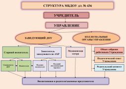 Структура ДОУ включает в себя различные структурные подразделения, которые обеспечивают образовательную деятельность с учетом уровня, вида и направленности реализуемых программ, формы обучения и режима пребывания воспитанников. 
В структуру входят заведующий, заместитель заведующего, старший воспитатель, педагоги, младшие воспитатели и обслуживающий персонал.